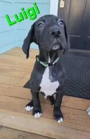 processed/175d2f37-b800-4cdd-8ed5-cc95d45c310c/listing/405e4399-c6ae-4d59-a269-20b37c1932b1/7b83a939-97d5-4103-99b5-fc348ba55780