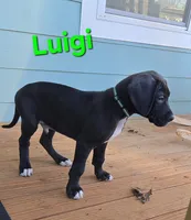 processed/175d2f37-b800-4cdd-8ed5-cc95d45c310c/listing/405e4399-c6ae-4d59-a269-20b37c1932b1/97a47a6a-69e9-4844-8f40-e83d0ba0a53d