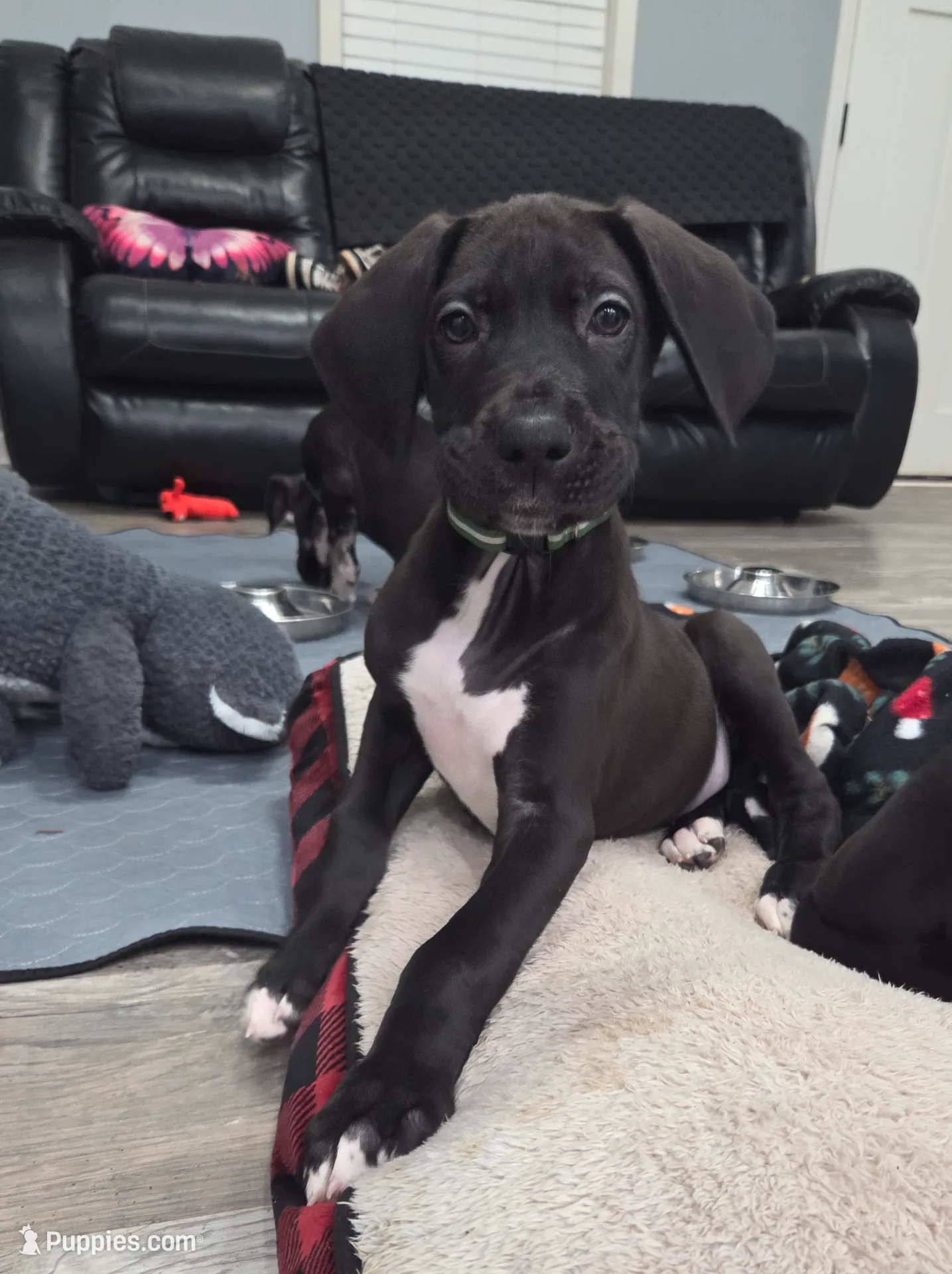 processed/175d2f37-b800-4cdd-8ed5-cc95d45c310c/listing/405e4399-c6ae-4d59-a269-20b37c1932b1/d535e30e-53f9-44cb-8227-8abc5ee99ec0