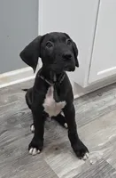 processed/175d2f37-b800-4cdd-8ed5-cc95d45c310c/listing/405e4399-c6ae-4d59-a269-20b37c1932b1/f6551f60-0ac1-4558-9943-9cd1effdcb21