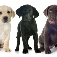 processed/17600a53-6953-4d42-b22f-646b69e3b8e2/facility/590046a6-92f3-4d9f-a09e-418879ef7494