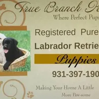 processed/17600a53-6953-4d42-b22f-646b69e3b8e2/facility/9871e527-e772-4c94-87ba-15f0771900d0