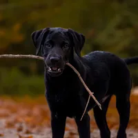 processed/17600a53-6953-4d42-b22f-646b69e3b8e2/facility/a6d2b950-4c54-4878-8d78-c8ba0790e0cd