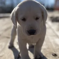 processed/17600a53-6953-4d42-b22f-646b69e3b8e2/facility/dfcc4d63-b837-4c1f-8fef-0fc3873f1bf5