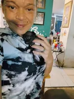 Tiny, a female Chihuahua for sale in Plant City, FL – 3 of 3