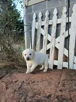 processed/176ac977-226b-4801-bc21-730a96924687/listing/0bb70d58-3568-438d-b091-6817395de07b/1ab93e48-d4e5-4069-b1fc-38fecaf91293