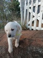 processed/176ac977-226b-4801-bc21-730a96924687/listing/0bb70d58-3568-438d-b091-6817395de07b/83c6edd4-fd92-4e81-8420-7f35a08dac86