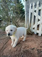 processed/176ac977-226b-4801-bc21-730a96924687/listing/0bb70d58-3568-438d-b091-6817395de07b/ab6071a5-357c-4d77-979a-5b5092ec1fe8