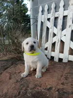 processed/176ac977-226b-4801-bc21-730a96924687/listing/0bb70d58-3568-438d-b091-6817395de07b/b8d0d27f-ca46-446b-bbfd-0d4f3cb39096