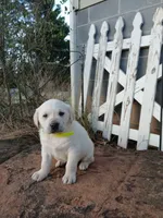 processed/176ac977-226b-4801-bc21-730a96924687/listing/0bb70d58-3568-438d-b091-6817395de07b/e358eba5-a7b5-4ed0-a6dc-32a9e3331bd0