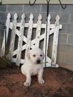 processed/176ac977-226b-4801-bc21-730a96924687/listing/0bb70d58-3568-438d-b091-6817395de07b/eabf1cc3-4543-4824-9043-702190351dd5