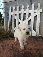 processed/176ac977-226b-4801-bc21-730a96924687/listing/0bb70d58-3568-438d-b091-6817395de07b/ebd3587e-c53d-43df-b53d-39884177ef8e