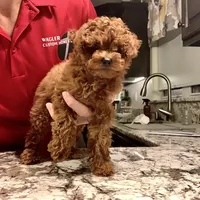 processed/176ee022-46f6-4ca7-ab25-976d4980e008/facility/224907e8-77f0-49ea-bc2c-b96ef39f9c60