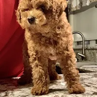 processed/176ee022-46f6-4ca7-ab25-976d4980e008/facility/3adedabe-260a-4f19-b789-ae6cbc01ecee