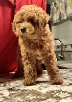 processed/176ee022-46f6-4ca7-ab25-976d4980e008/facility/3adedabe-260a-4f19-b789-ae6cbc01ecee