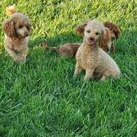 processed/176ee022-46f6-4ca7-ab25-976d4980e008/facility/4d82ec18-cd22-428e-bac7-41a90ea0f032