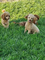 processed/176ee022-46f6-4ca7-ab25-976d4980e008/facility/4d82ec18-cd22-428e-bac7-41a90ea0f032