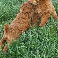 processed/176ee022-46f6-4ca7-ab25-976d4980e008/facility/82f51d66-c127-400a-bed8-9308563c4fa2