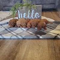 processed/176ee022-46f6-4ca7-ab25-976d4980e008/facility/8edce86d-2c52-40c3-8c6a-19d1adb98373