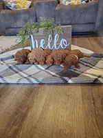 processed/176ee022-46f6-4ca7-ab25-976d4980e008/facility/8edce86d-2c52-40c3-8c6a-19d1adb98373