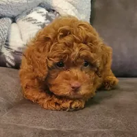 processed/176ee022-46f6-4ca7-ab25-976d4980e008/facility/b17685b7-a22b-43f0-aa65-61273adda18b