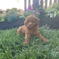 processed/176ee022-46f6-4ca7-ab25-976d4980e008/facility/c5746be0-4490-40f1-bf0e-dbef98ccc91f