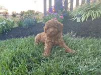 processed/176ee022-46f6-4ca7-ab25-976d4980e008/facility/c5746be0-4490-40f1-bf0e-dbef98ccc91f