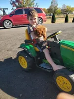 processed/176ee022-46f6-4ca7-ab25-976d4980e008/facility/db3a2d3d-7b3b-4ef1-b09c-9d8f058ffa30