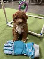 Facility photo