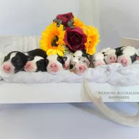 processed/1775a2f0-625e-41be-ad2c-db3c0541c916/facility/26d9bac3-66b3-4bd3-949a-53fcafdd360a