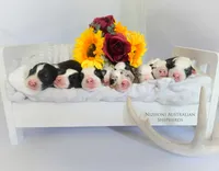 processed/1775a2f0-625e-41be-ad2c-db3c0541c916/facility/26d9bac3-66b3-4bd3-949a-53fcafdd360a