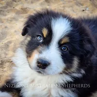 processed/1775a2f0-625e-41be-ad2c-db3c0541c916/facility/364cf1b4-d0f9-4b40-b769-6ba0611a81c0