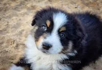 processed/1775a2f0-625e-41be-ad2c-db3c0541c916/facility/364cf1b4-d0f9-4b40-b769-6ba0611a81c0