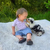 processed/1775a2f0-625e-41be-ad2c-db3c0541c916/facility/462d9e66-52fd-451d-a84f-702dec32acdf