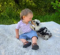 processed/1775a2f0-625e-41be-ad2c-db3c0541c916/facility/462d9e66-52fd-451d-a84f-702dec32acdf