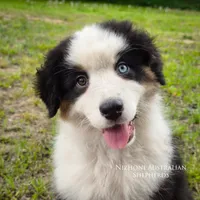 processed/1775a2f0-625e-41be-ad2c-db3c0541c916/facility/80a31009-3d69-4f26-b180-1bca6d997b5e