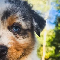 processed/1775a2f0-625e-41be-ad2c-db3c0541c916/facility/8636a3d1-6ba7-4c7a-8256-3db43508e7ab