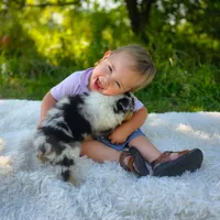 processed/1775a2f0-625e-41be-ad2c-db3c0541c916/facility/cfdd2c64-f995-4893-a21e-b680255d17df