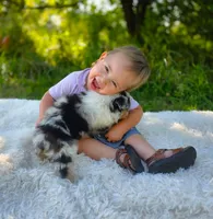 processed/1775a2f0-625e-41be-ad2c-db3c0541c916/facility/cfdd2c64-f995-4893-a21e-b680255d17df