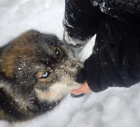 processed/1775a2f0-625e-41be-ad2c-db3c0541c916/listing/10dd9d86-d82c-4913-9055-6c5aee4c1b22/891e50a3-b192-44c0-83a1-41a974ad0bb4