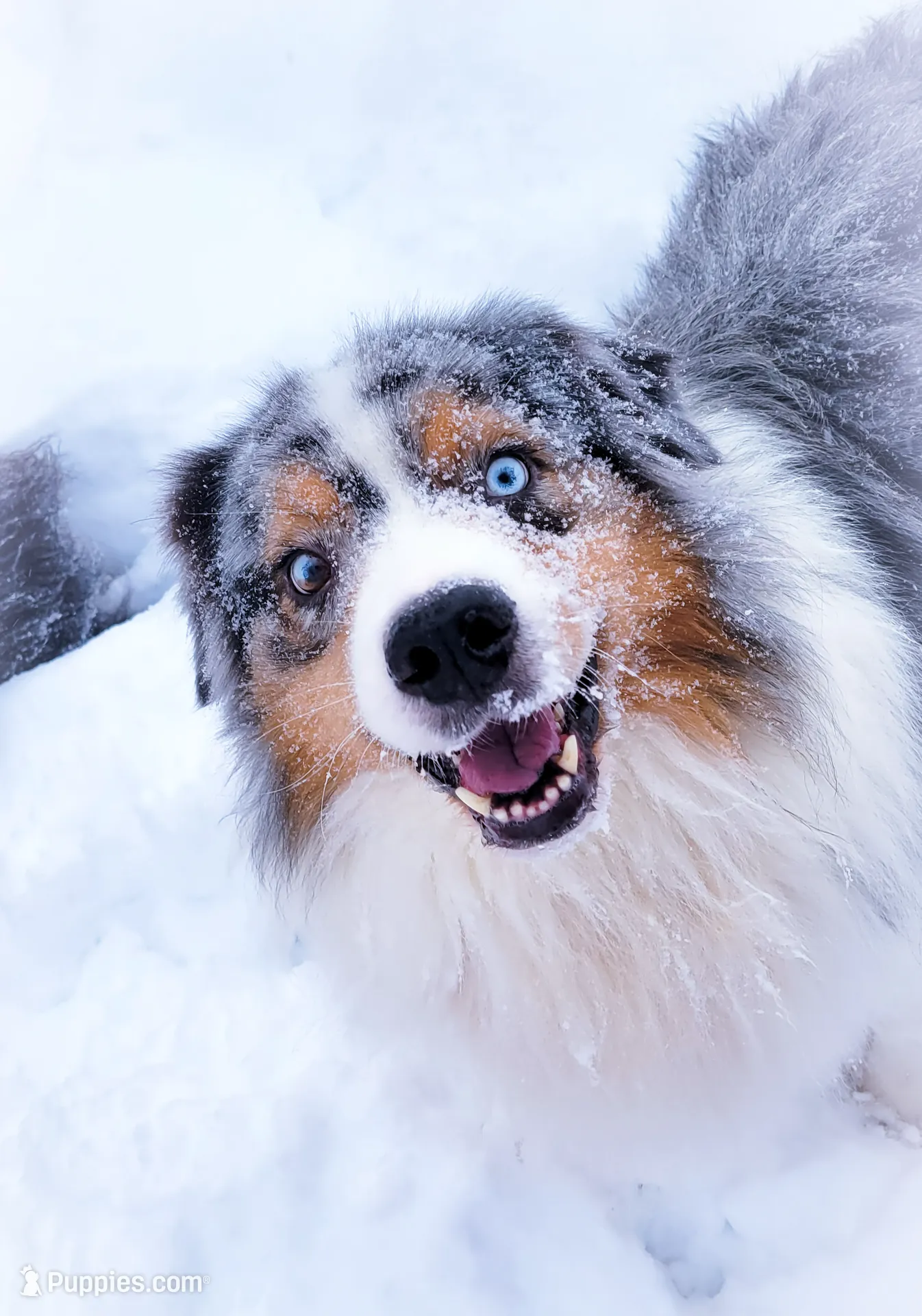 processed/1775a2f0-625e-41be-ad2c-db3c0541c916/listing/10dd9d86-d82c-4913-9055-6c5aee4c1b22/c90970d2-ba9c-4629-94ee-5fa05f54789e