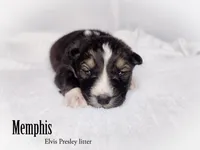 processed/1775a2f0-625e-41be-ad2c-db3c0541c916/listing/4fb2a40d-d5a8-4675-9cfd-de5c51142f40/0a36e44f-e611-4e86-8e39-b9476ac359e5