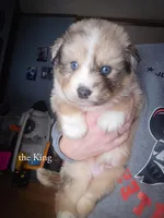 processed/1775a2f0-625e-41be-ad2c-db3c0541c916/listing/5de1b5e7-05b7-4a5a-a171-a468f024af81/54ea49b1-9c0b-4347-9f9d-f498ea62ca3e