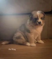 processed/1775a2f0-625e-41be-ad2c-db3c0541c916/listing/5de1b5e7-05b7-4a5a-a171-a468f024af81/6717e4fb-15b4-48ac-8c76-1aeaf6e81532