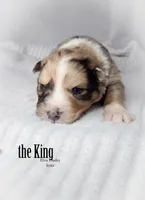 processed/1775a2f0-625e-41be-ad2c-db3c0541c916/listing/5de1b5e7-05b7-4a5a-a171-a468f024af81/6dc985c6-10e2-43b8-bb3b-5165413cb58b