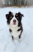 processed/1775a2f0-625e-41be-ad2c-db3c0541c916/listing/a976a087-e289-433e-8440-bcec7e268052/57597e6d-277a-43a1-a5a2-ca5b9d5e4667