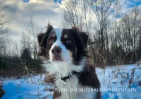 processed/1775a2f0-625e-41be-ad2c-db3c0541c916/listing/a976a087-e289-433e-8440-bcec7e268052/788e4295-6d52-4632-b2bf-2b1c26b037dc