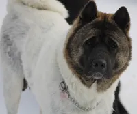 processed/1778e03d-f048-4f2e-b678-24507c005276/listing/61bf27d1-ff2f-491e-922f-7f06fd15a9b8/2047a0cb-241a-44b9-a5d7-9a7fbf5c6d07