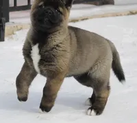 processed/1778e03d-f048-4f2e-b678-24507c005276/listing/61bf27d1-ff2f-491e-922f-7f06fd15a9b8/54ec9a11-bda5-4dbc-a923-926be455aacd