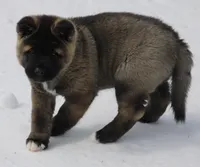 processed/1778e03d-f048-4f2e-b678-24507c005276/listing/61bf27d1-ff2f-491e-922f-7f06fd15a9b8/7a9a68a1-3e9f-432f-9f93-9b37144f87ec